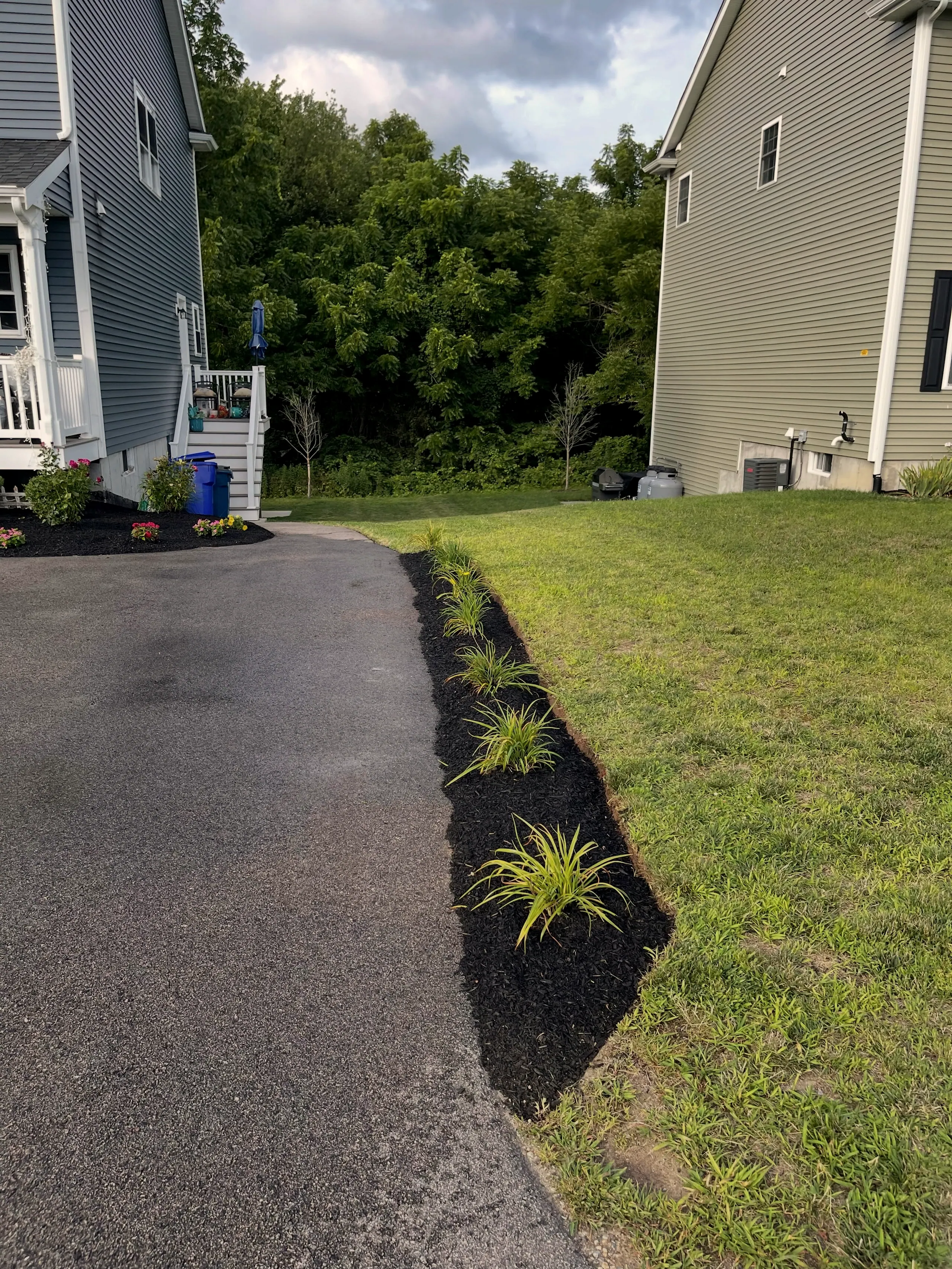 Black-mulch bed with ornamental grasses edging an asphalt driveway, green lawn beside it