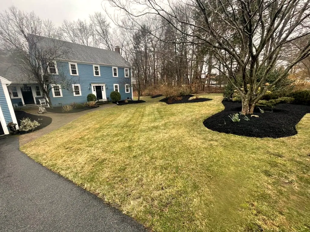 Striped early-spring lawn and black-mulch island beds in front of a blue colonial