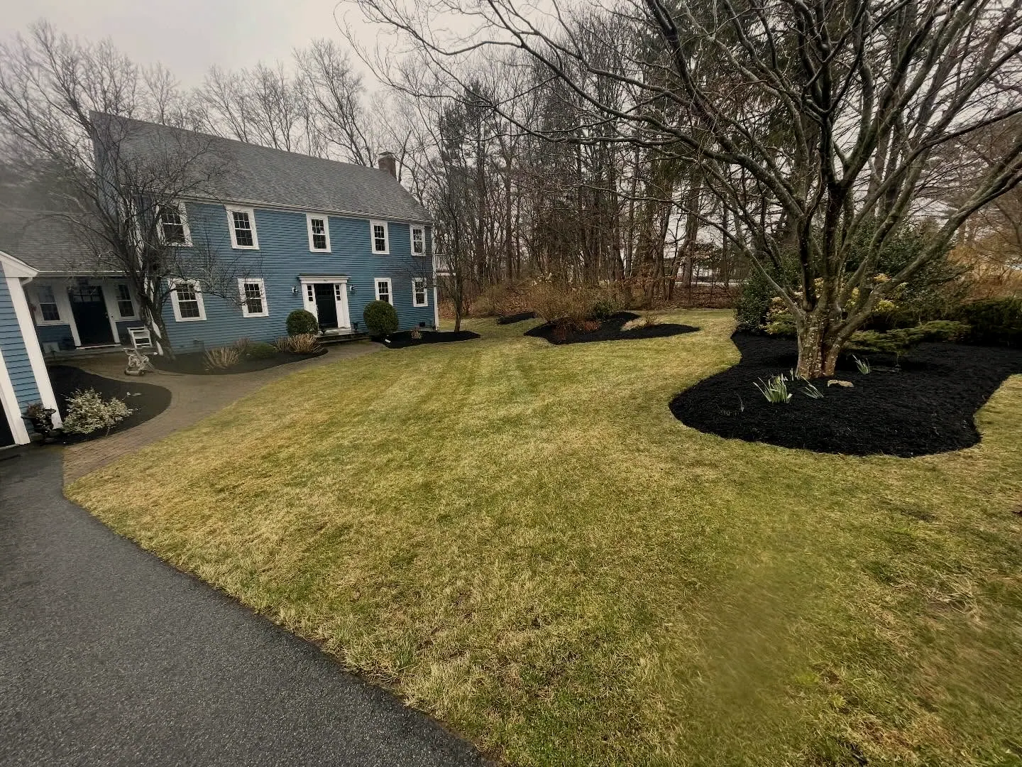 Lawn and fresh mulch beds at a blue colonial house from the driveway side